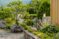 5 Ways to Increase the Curb Appeal of Your Home
