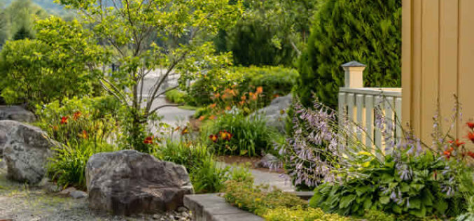 5 Ways to Increase the Curb Appeal of Your Home