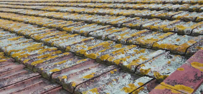 Top Signs You Need Roof Repairs