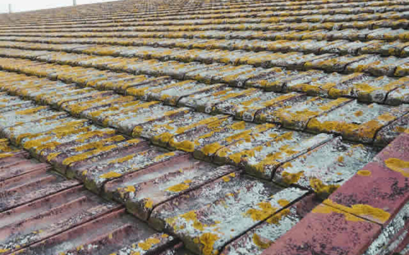 Top Signs You Need Roof Repairs
