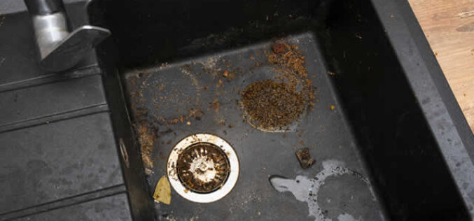 Top 5 Plumbing Tips for Clogged Drains