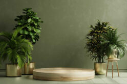 Effective Ways to Bring the Outside into Your Home