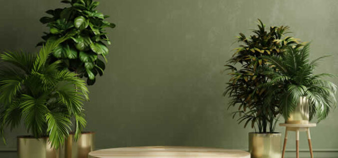 Effective Ways to Bring the Outside into Your Home