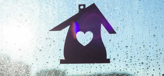 What Your Home May Need for the Upcoming Rain Season