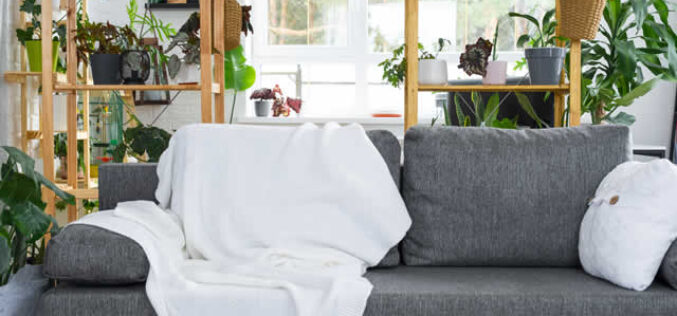Why Choosing Eco-Friendly Furniture is Essential for a Sustainable Future