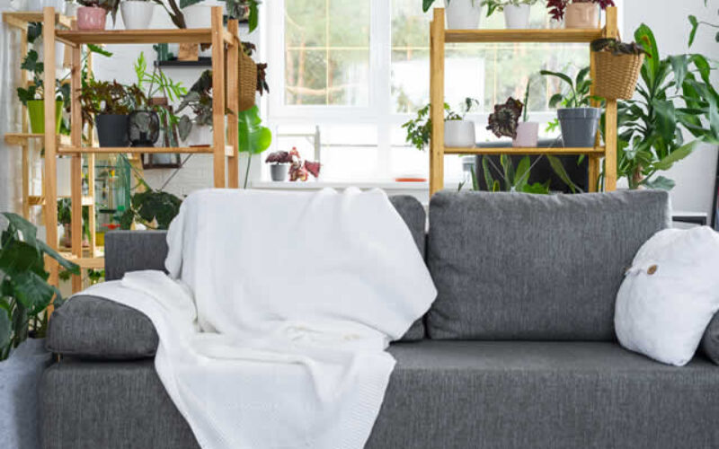 Why Choosing Eco-Friendly Furniture is Essential for a Sustainable Future