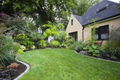 7 Mistakes to Avoid for a Successful Landscape Design