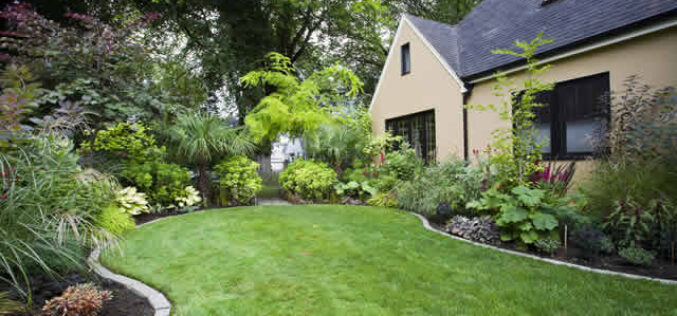 7 Mistakes to Avoid for a Successful Landscape Design