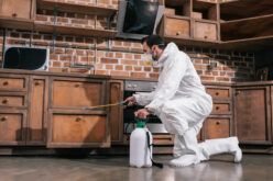Be Prepared | 6 Reasons Why You Should Call a Pest Control Service Every Spring