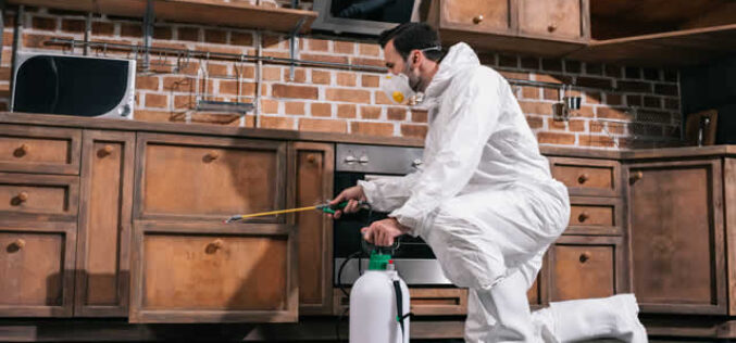 Be Prepared | 6 Reasons Why You Should Call a Pest Control Service Every Spring