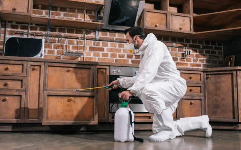Be Prepared | 6 Reasons Why You Should Call a Pest Control Service Every Spring