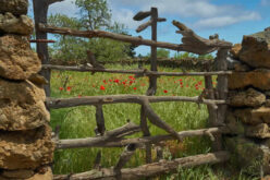 Unlocking the Full Potential of Your Rural Property