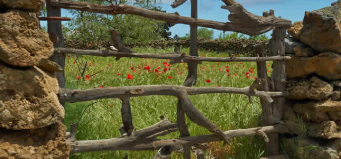 Unlocking the Full Potential of Your Rural Property