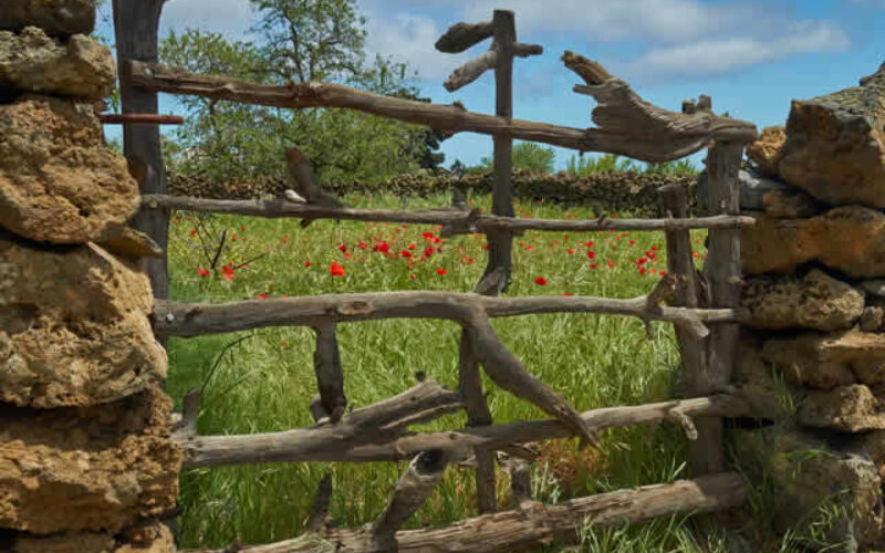 Unlocking the Full Potential of Your Rural Property