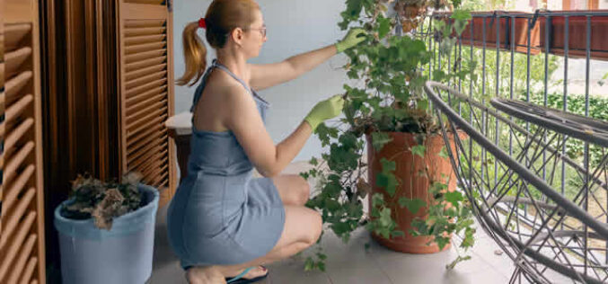 How To Prepare Your Home for The Summer Months