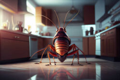 From Infestation to Liberation: Conquering Pests and Reclaiming Your Home