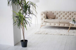 Elevate Your Space: Furniture and Home Improvement Tips and Tricks