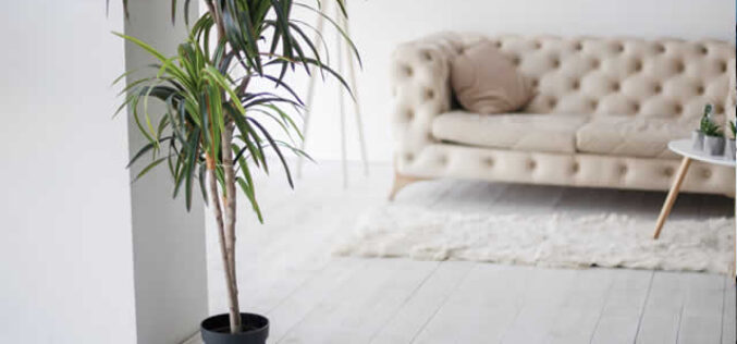 Elevate Your Space: Furniture and Home Improvement Tips and Tricks