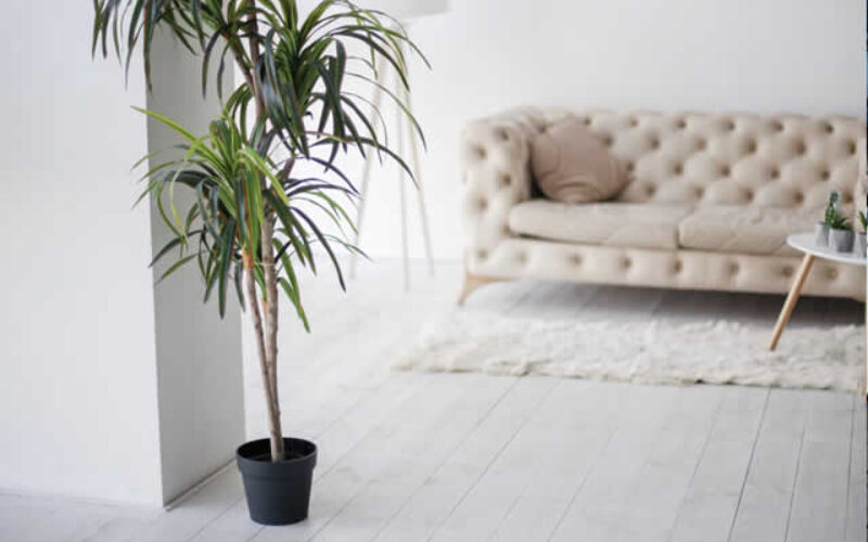 Elevate Your Space: Furniture and Home Improvement Tips and Tricks
