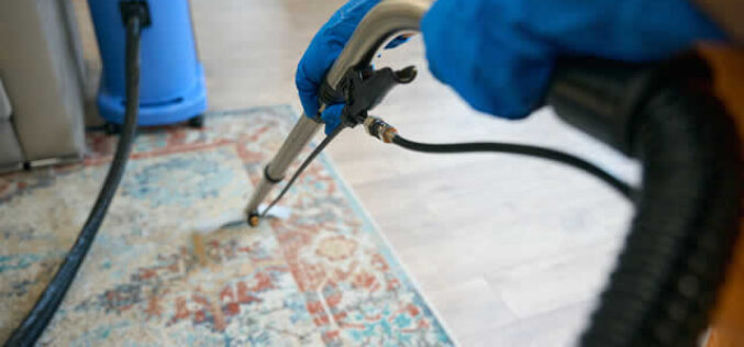 Practical Home Renovations: Prioritizing Rug and Carpet Care