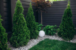 Renovating Beyond the Home: Top Tips for Revamping Your Outdoor Space