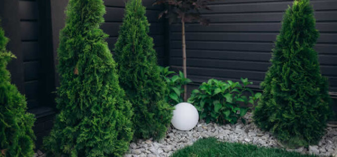 Renovating Beyond the Home: Top Tips for Revamping Your Outdoor Space