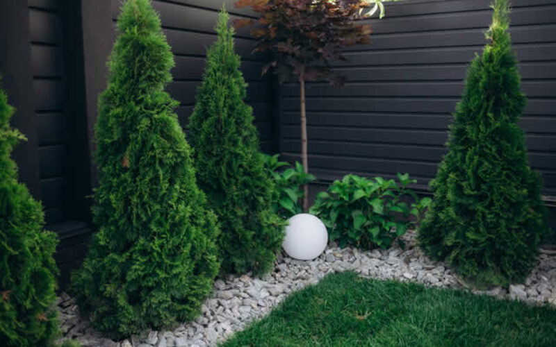 Renovating Beyond the Home: Top Tips for Revamping Your Outdoor Space