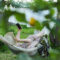 Tips & Tricks for Creating a Beautiful Backyard Oasis