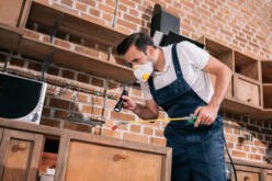 Pests? Best Ways to Negotiate With Pest Control Providers