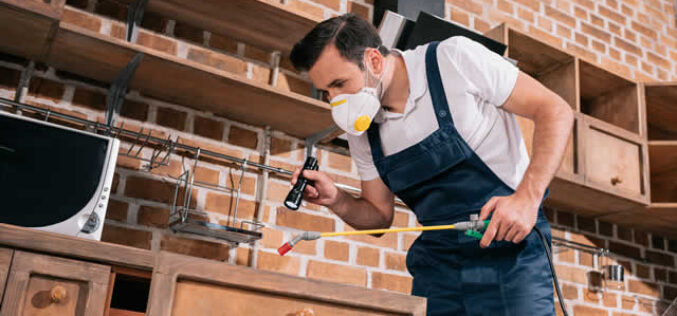Pests? Best Ways to Negotiate With Pest Control Providers
