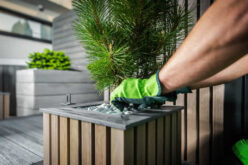 7 Strategies to Dramatically Elevate Your Backyard Space