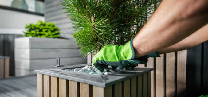 7 Strategies to Dramatically Elevate Your Backyard Space