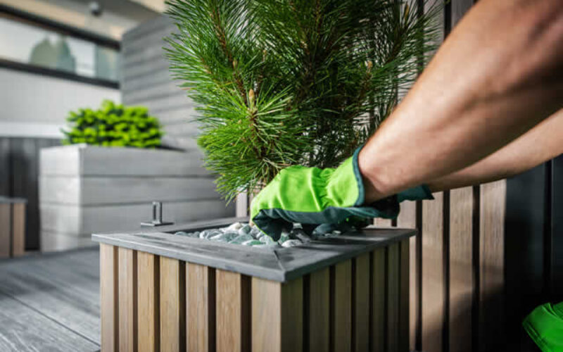7 Strategies to Dramatically Elevate Your Backyard Space
