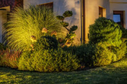 Understanding the Principles of Landscape Design