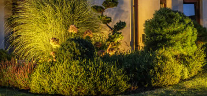 Understanding the Principles of Landscape Design