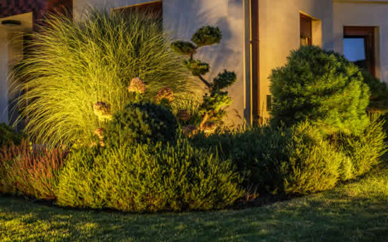 Understanding the Principles of Landscape Design