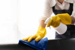 Safeguarding Your Furniture Against Children And Pets