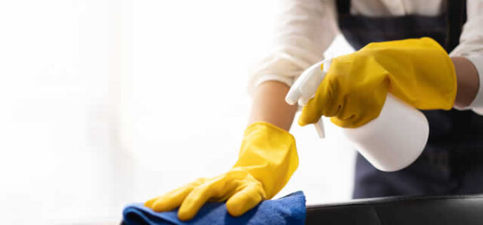 Safeguarding Your Furniture Against Children And Pets