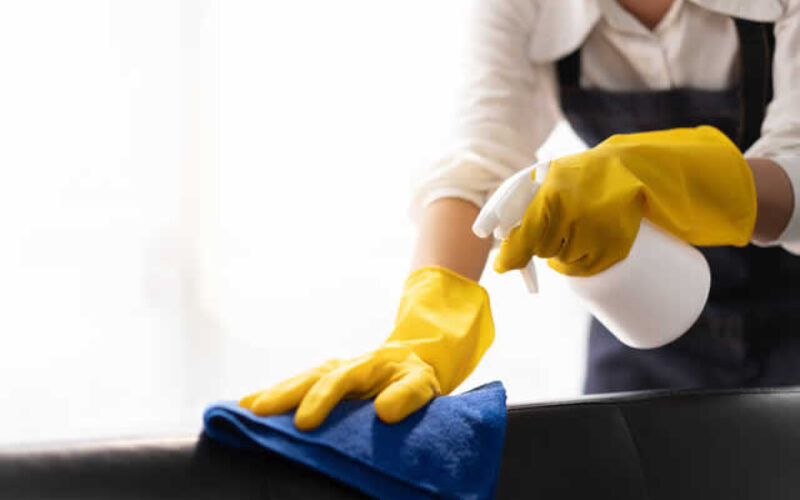 Safeguarding Your Furniture Against Children And Pets