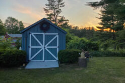 Best Enhancements To Add to Your Storage Shed