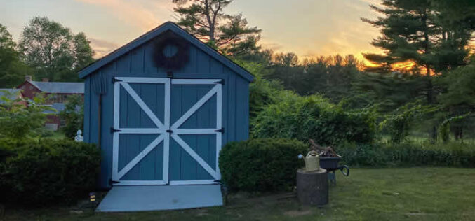 Best Enhancements To Add to Your Storage Shed