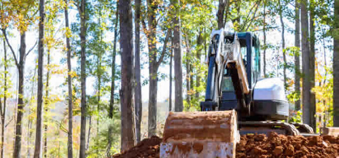 Best Options When It Comes To Clearing Out A Dig Site?