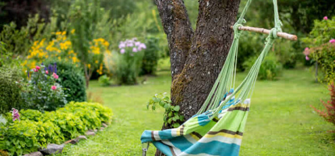 7 Genius Hacks to Upgrade Your Garden Game