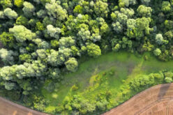 5 Home Projects to Consider If You Own a Lot of Land
