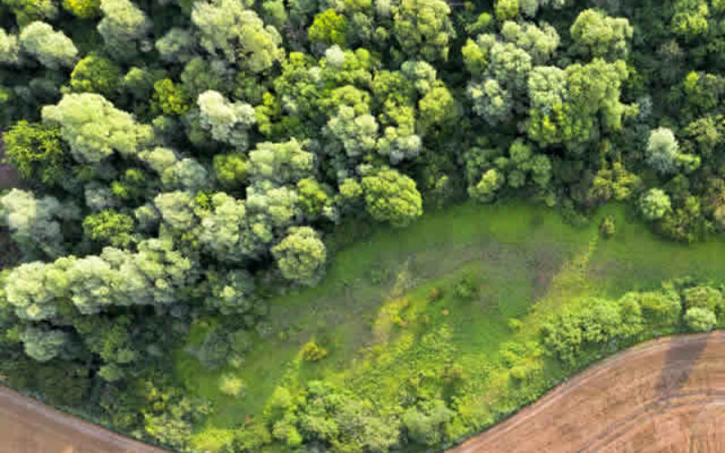 5 Home Projects to Consider If You Own a Lot of Land