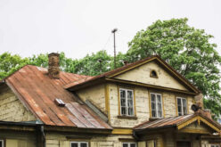 Mold Remediation in Historical Buildings: Navigating Challenges with Precision