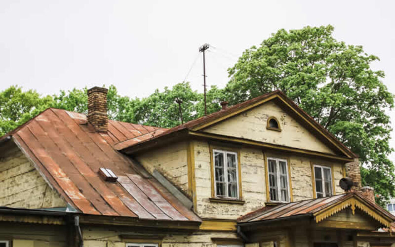 Mold Remediation in Historical Buildings: Navigating Challenges with Precision