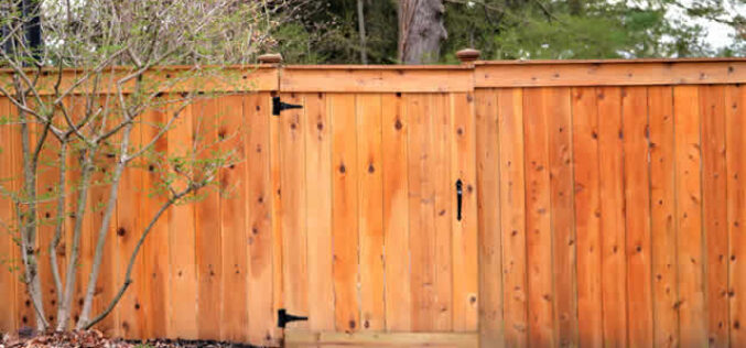 Prioritizing Privacy in Home Improvement: 5 Suggestions for Safety