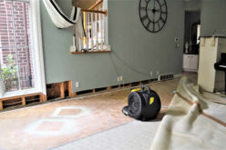 Mastering Water Damage: A 5-Step Guide for Homeowners