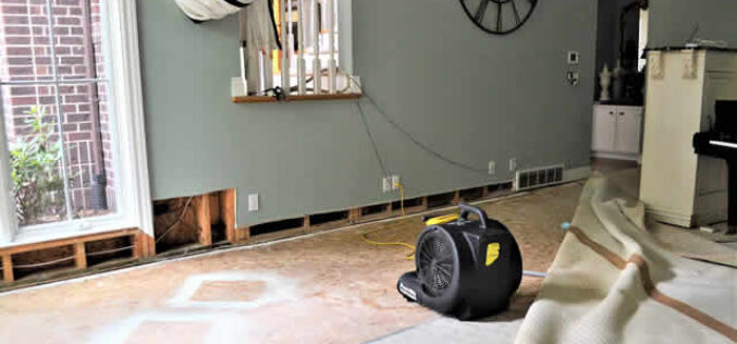 Mastering Water Damage: A 5-Step Guide for Homeowners